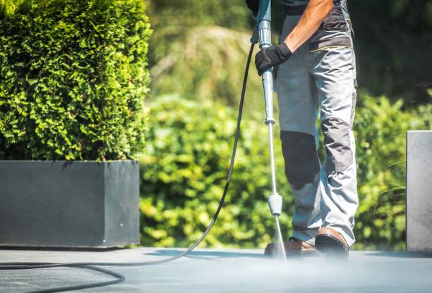 Best Solar Panel Cleaning  in Atoka, NM