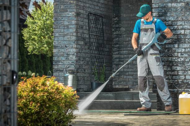 Best Gutter Cleaning  in Atoka, NM